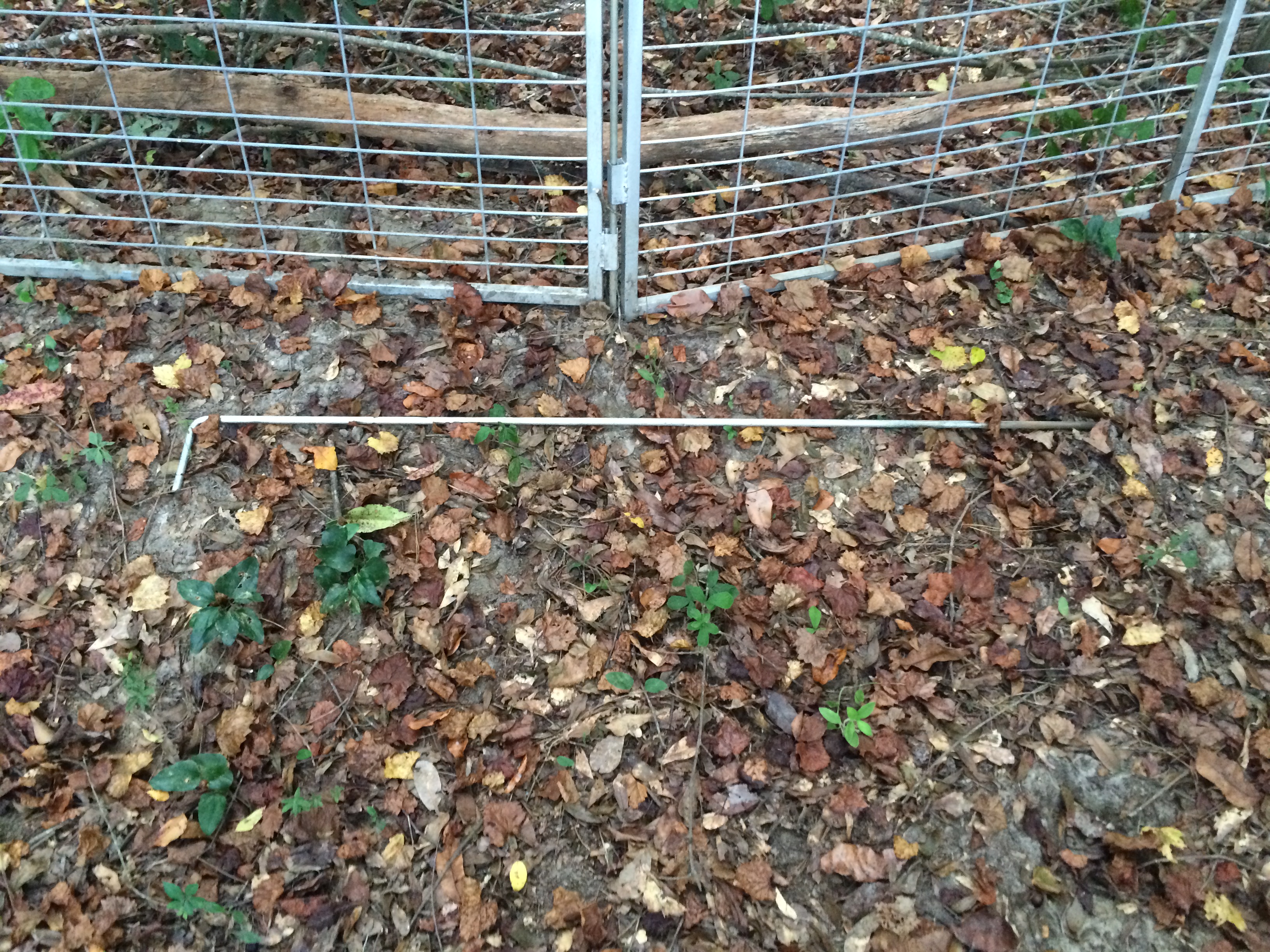 Trapping Systems Hog Cutters Trapping Co