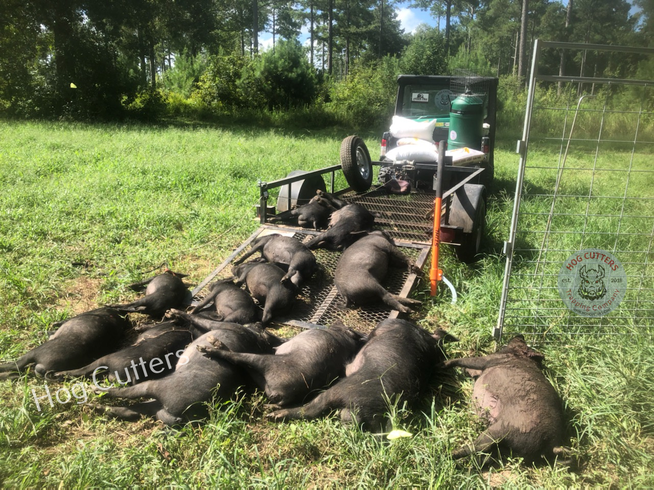 Photo of 13 dead hogs in Hog Cutters John Deere Gator from AgPro DIxie GA