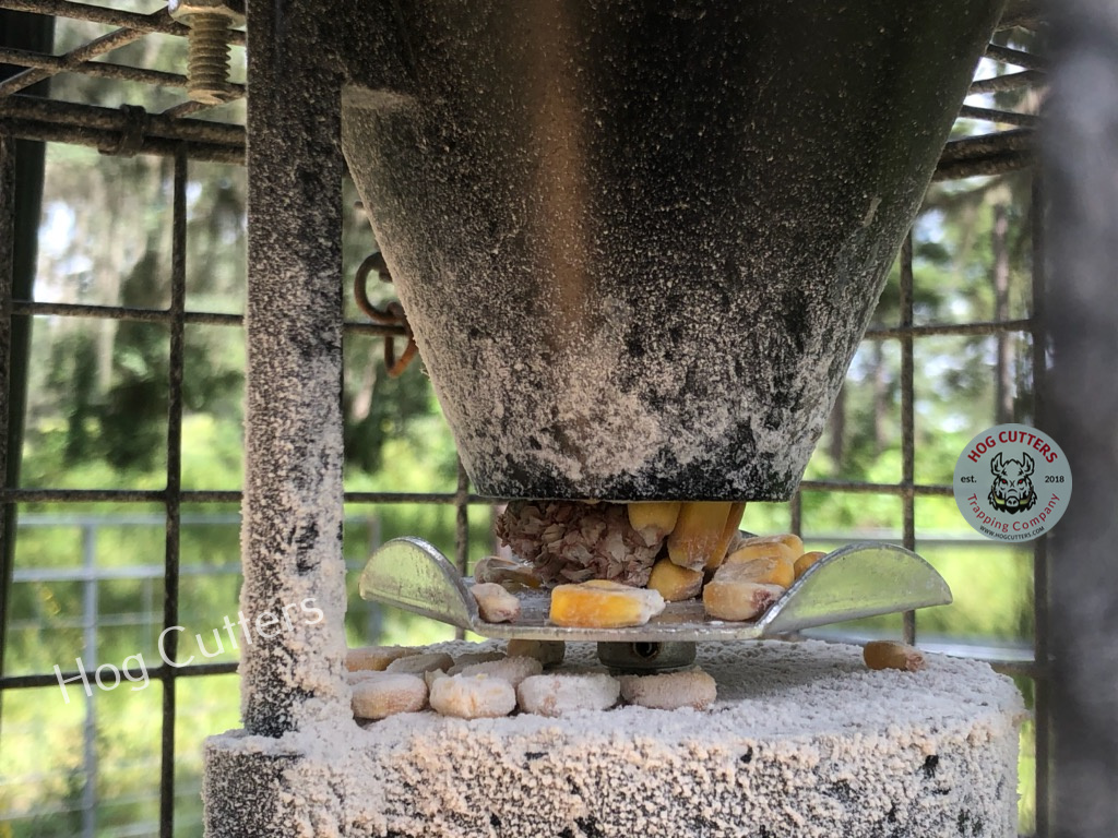 showing the example of the on time feeder clogged by corn debris